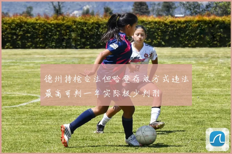 德州持枪合法但哈登存放方式违法最高可判一年实际极少判刑